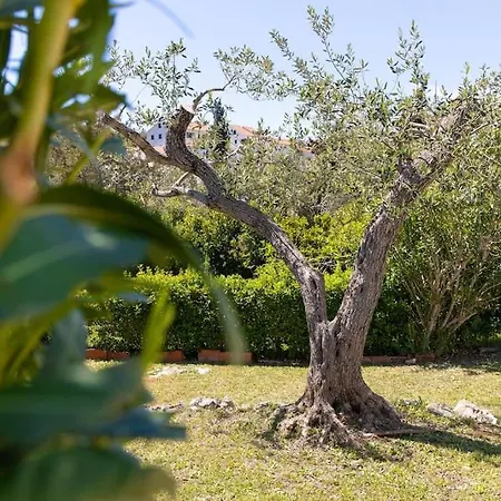 Olive Garden House - 5 Min Beach, Near Center Casa vacanze *