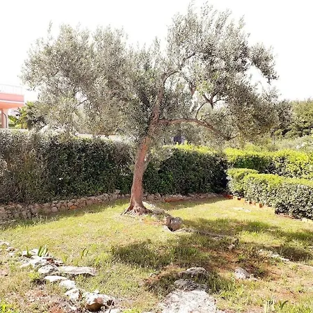 Olive Garden House - 5 Min Beach, Near Center Casa vacanze
