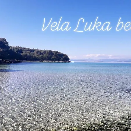 Olive Garden House - 5 Min Beach, Near Center Holiday home